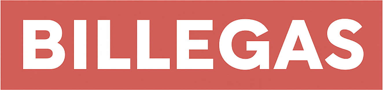 Billegas – Obras y Servicios